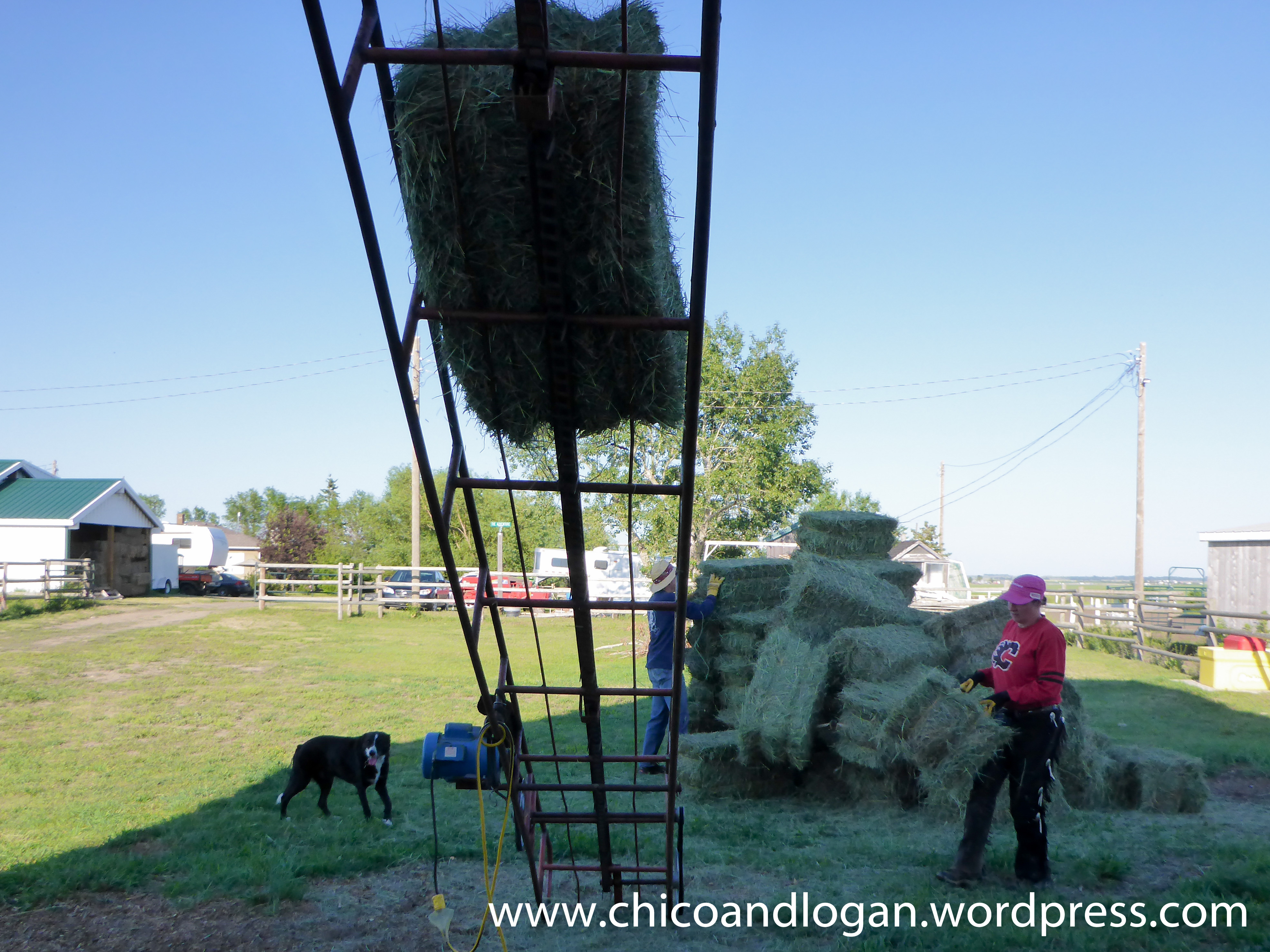 07-Logan-haymaking-stacking-1
